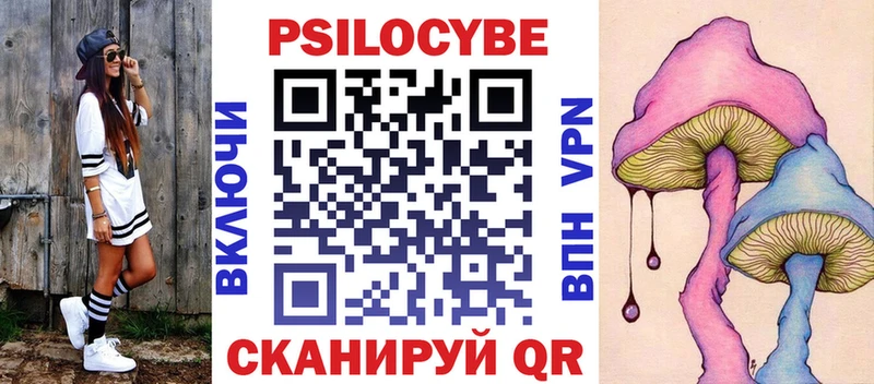 Псилоцибиновые грибы Cubensis  Купить  Гудермес 